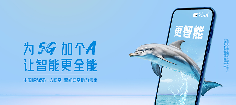 中国移动岚皋县移动宽带